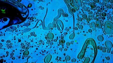 Abstract colorful psychedelic background with many shapes and forms changing fast, LSD effect. Concept of rock music, drugs, art and bright paints.の写真素材