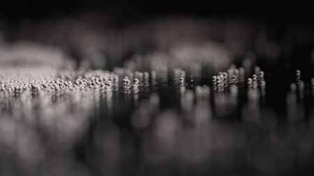 Close-up of gray round grains on black background. Stock footage. Gray round grains for seasoning or decoration on isolated background.の写真素材