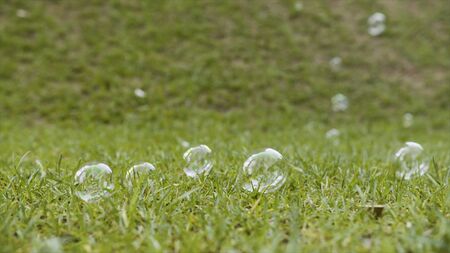 Soap bubbles against the grass background. Summer landscape with soap bubbles lying on the green...