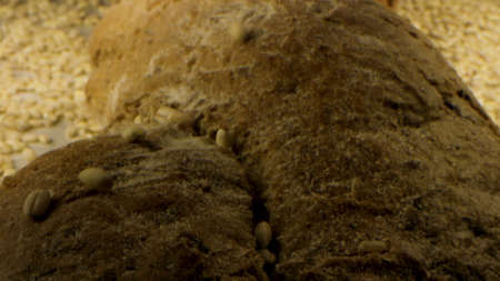 Home made bread with grains, seeds and cereals. Stock footage. Close up of delicious loaf of freshly...