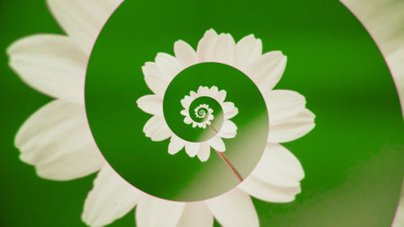 Unwinding flower spiral. Animation. Moving spiral of delicate flower petals. Abstract animation with flower spiral on colored backgroundの写真素材
