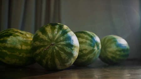 Close up of four whole watermelons on a wooden brown table indoors. Video. Summer vitamins, ripe...