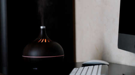 Humidifier spreading steam at home, details of the a modern apartment interior. Concept. Ultrasonic...