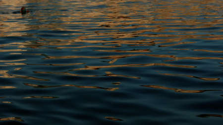 Beautiful iridescent water. Creative. the small waves of the sea oscillate with the buoy that they move.の写真素材