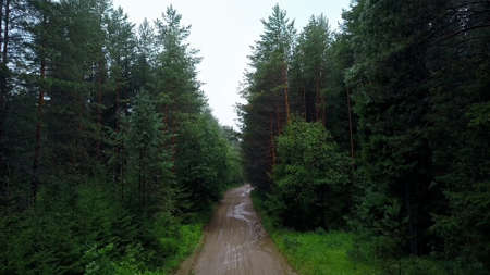 View from a helicopter . Clip. A huge green forest, with a muddy road with puddles and a bright sky overhead.の写真素材