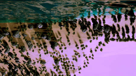 Abstract aerial view of algae beach and the sea turned upside down. Animation. Flying above sandy beach and turquoise water.の写真素材