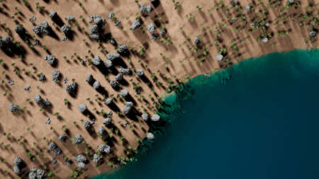 Top view of 3d wooded beach with trees and blue water. Animation. Beautiful naturalistic model of beach with turquoise water. Beautiful 3D animation of shore with trees and blue waterの写真素材