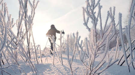 A man practicing Scandinavian walking in a winter forest. Creative. A person walking through winter snowdrifts in the forest next to snow-covered trees against a background of bright sun and blue sky.の写真素材