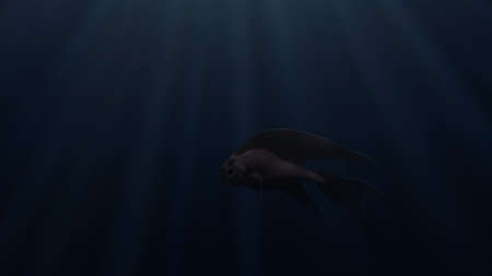 Close up of an abstract lonely beautiful fish swimming underwater. Design. Realistic marine animal in the sea or ocean with the sun rays shining through water surface.の写真素材