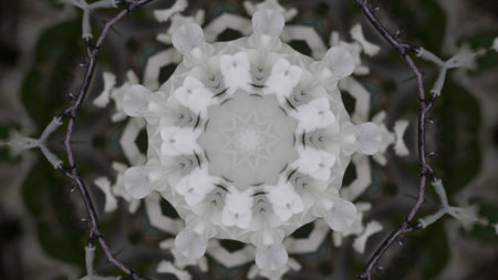 White abstract. Action. Tapering white patterns that then expand back.の写真素材