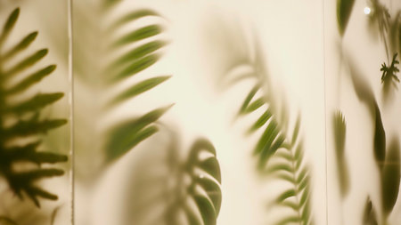Tropical palm leaves on white wall background. Stock footage. Wallpaper with beautiful green leaves.の写真素材