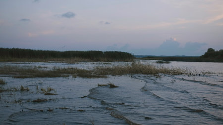 Sunset over the lake with small waves. Creative. Beautiful view of a river and forest.