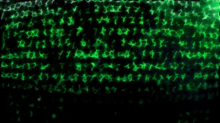 Changing lines of blurred symbols. Motion. Old fashioned code of unknown letters on a dark background.の写真素材