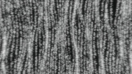 Black background with white garlands. Motion. Bright white threads in the animation that shine.