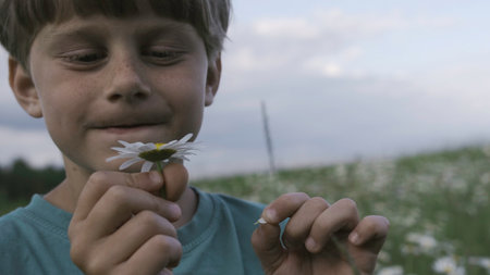 Cute boy holding daisy in field. Creative. Boy tore off daisy leaf for wish. Boy with daisy makes wish in summer fieldの写真素材