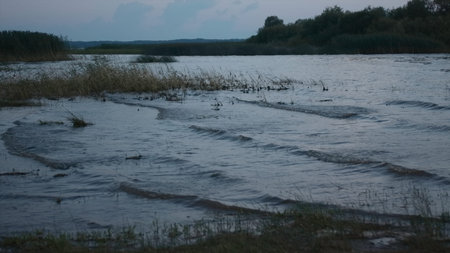 Waves on shallow water of lake beach. Creative. Small waves on village lake. Simple beach with mud and thickets on cloudy dayの写真素材