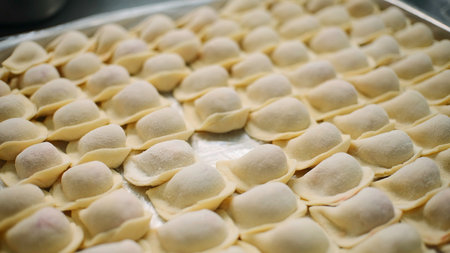 Close-up of lot of dumplings. Clip. Batch of fresh cooked dumplings. Cooking and modeling of dumplings for industrial bakeryの写真素材