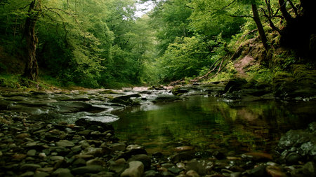 Beautiful tropical rain forest and a small lake. Creative. Cold stream in the natural park at the spring or summer season.の写真素材