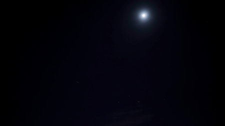 Bottom view of the night sky with shining moon and a flying bird. Action. Dark natural background with dark skyの写真素材