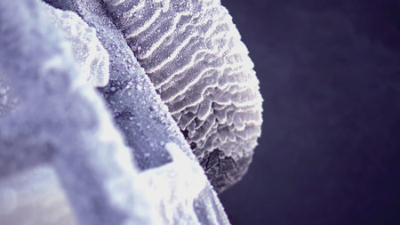 An icy tire from a car on board the ship. CLIP. View from the deck of a small ship in the North Sea...
