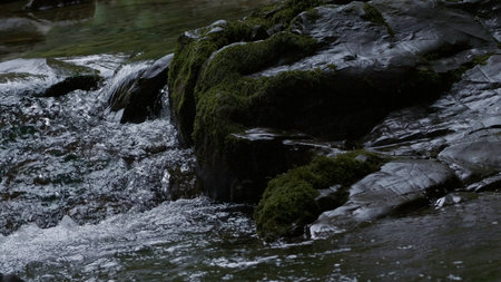 Close up of small waterfall in the tropical rainforest jungle. Creative. Small hidden rocky waterfall in jungle valleyの写真素材