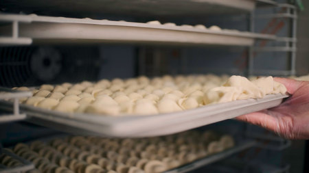 Dumplings on baking sheet. Clip. Lots of delicious dumplings on boards. Ready-made dumplings for mass cooking.の写真素材