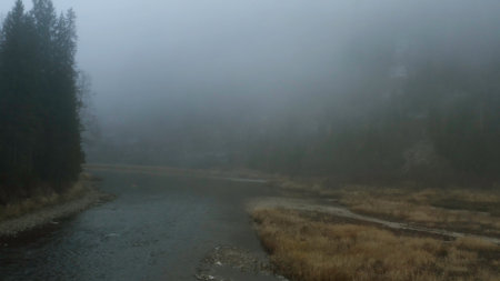 Dark landscape. Clip.Thick fog over a cold lake and forest and bare slightly green trees.の写真素材
