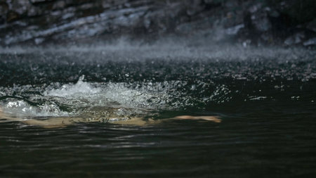 Woman swimming in fresh water, tropical pool with waterfall. Creative. Summer small lake in jungles.の写真素材