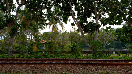 Railway tracks in forest, side view. Action. Countryside landscape and rail road.の写真素材