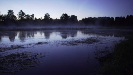 A Serene Twilight Reflection Over a Peaceful and Misty Lake at Dusk with An Idyllic Atmosphere. Stock Clipの写真素材