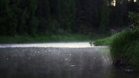 A Serene and Peaceful Morning at the Misty Riverbank Surrounded by Vibrant Lush Greenery. Stock Clipの写真素材