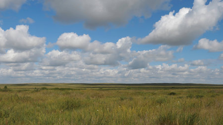 Summer landscape with field of grass,blue sky. Green Grass Field Landscape with fantastic clouds in the background. Great summer landscapeの写真素材