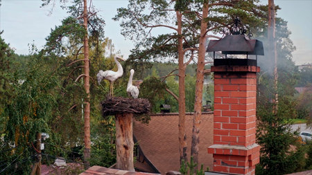 Smoke out of the chimney of a red brick cottage with a figure of storks in the nest. Video. Houses...