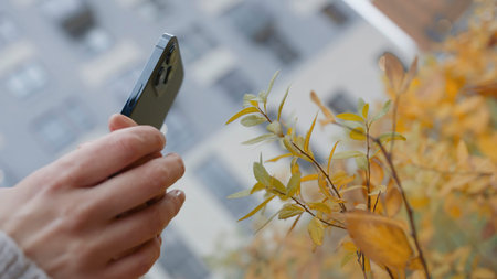 Woman taking photos on phone of plant. Action. Close-up of person taking picture of plant on phone...