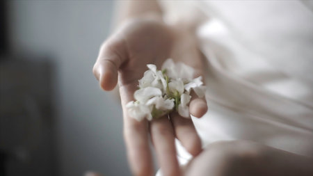 Close up of tender female hands holding white flower buds on blurred background, art concept. Footage. Model with soft flowers lying in her hands.の写真素材