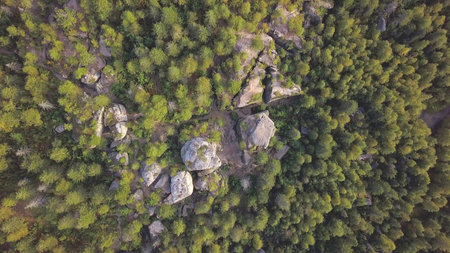 Standing stones and beautiful view in forest, top view. Clip. Rock among tall pine trees against the backdrop of view of a densely overgrown spruce forestの写真素材