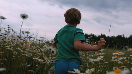 The boy runs through the meadow with flowers. CREATIVE. Rear view of a child running through a field of daisies. A child in blue clothes runs through the tall grass with daisiesの写真素材