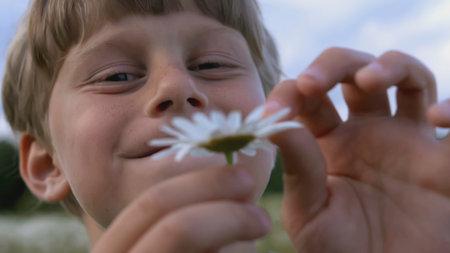 A Joyful Young Boy Holding a Beautiful Daisy While Standing in a Sunny Field of Flowersの写真素材