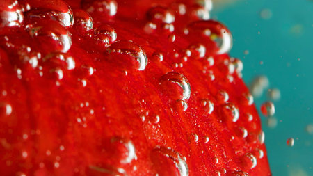 Bright bubbles in crystal clear water. Stock footage. A red flower is lowered into the water and...
