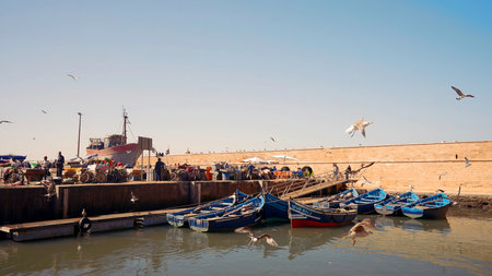 Harbour with small sail boats and flock of birds. Action. Seagulls flying above pier on blue clear sky background.の写真素材