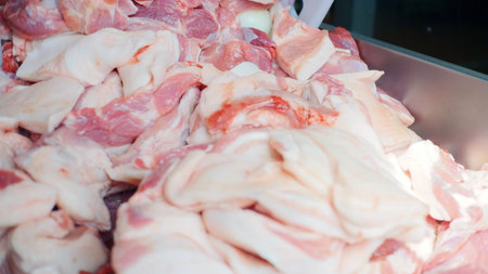 Modern minced meat production. Clp. Putting a large pieces of meat in a stainless bowl at the...