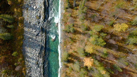 Birds-eye view.Clip.A beautiful clear river running over rocks next to tall trees in the forest .