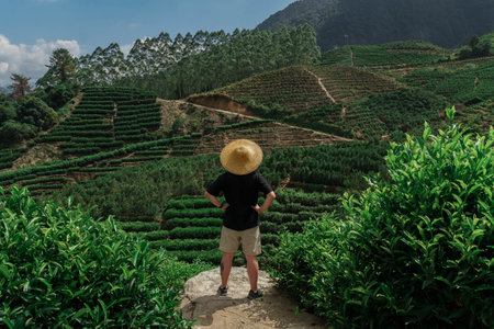Exploring the Verdant Tea Terraces amidst a picturesque landscape of natures beautyの写真素材