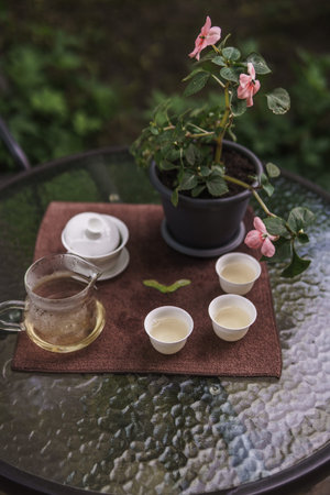 Enjoy a Serene Tea Time Experience with a Blossoming Plant Resting on a Glass Table