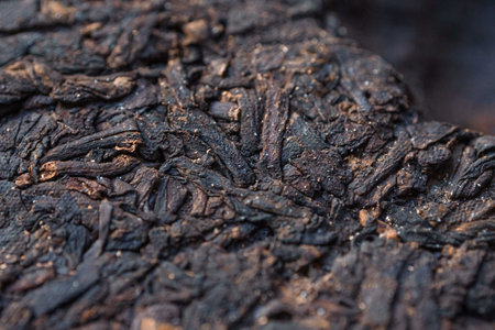 A closeup view showcasing the intricate texture and rich details of charred woodの写真素材