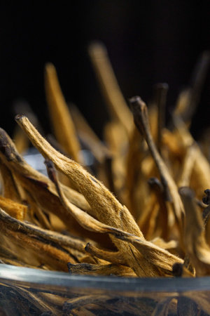 Stylish and Elegant Dried Botanical Stems Are Displayed Beautifully Within a Glass Bowl