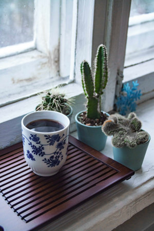 Beautiful window view with delightful cacti and a refreshing cup of tea beside itの写真素材