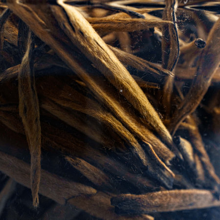 A Detailed CloseUp Image of Natural Root Material Set Against a Dark Environmentの写真素材