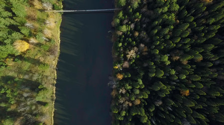 An Aerial View of a Serene Forest and River Landscape Captured from Above is Truly Beautiful. Stock...