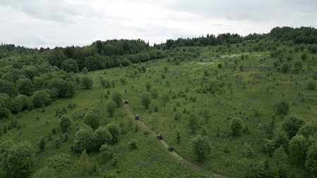 A stunning aerial view shows a lush landscape filled with dense trees and vibrant flora. Clip